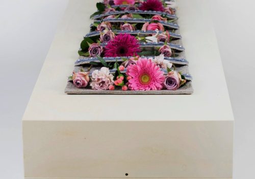 21125323_1700531260019074_1082554016481356989_o