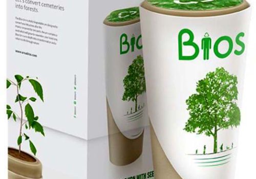 bios-urn-bio-urnen-boom-urn