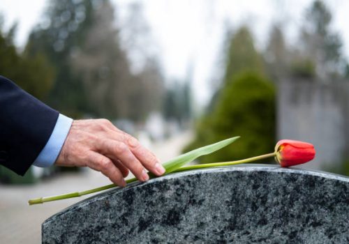 Red flower on tombstone at cemetery