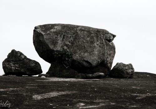 the-airdeez-RCEZ82eOgUw-unsplash